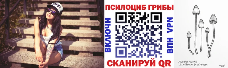 Галлюциногенные грибы Cubensis  купить закладку  Мамоново 